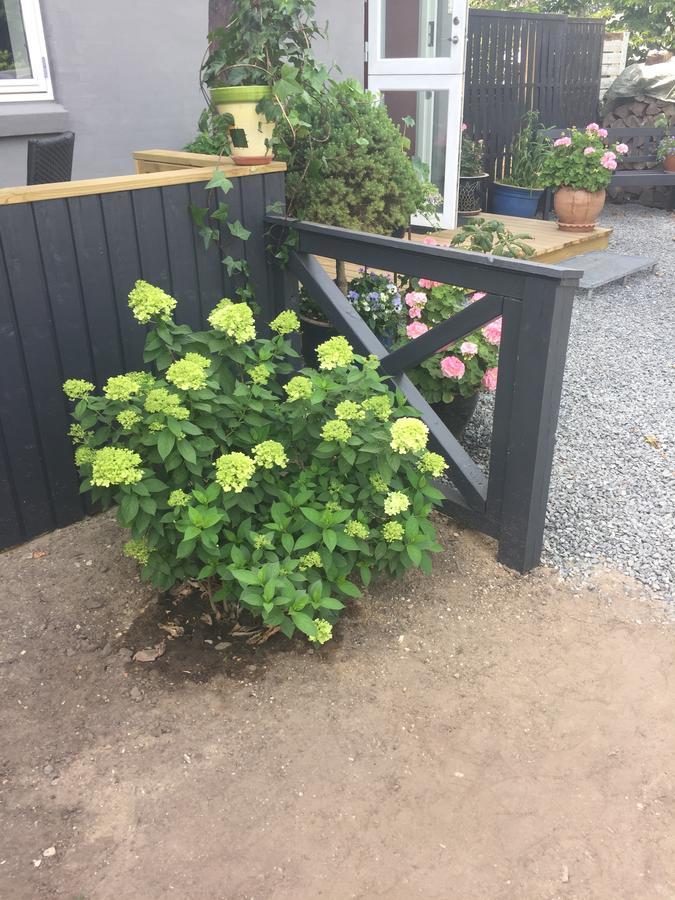 Molino Bed & Breakfast Bønnerup Strand Екстериор снимка