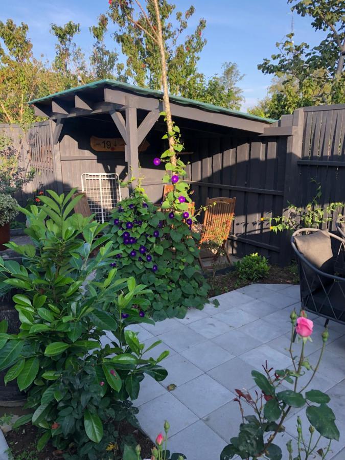 Molino Bed & Breakfast Bønnerup Strand Екстериор снимка